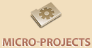 micro-projects